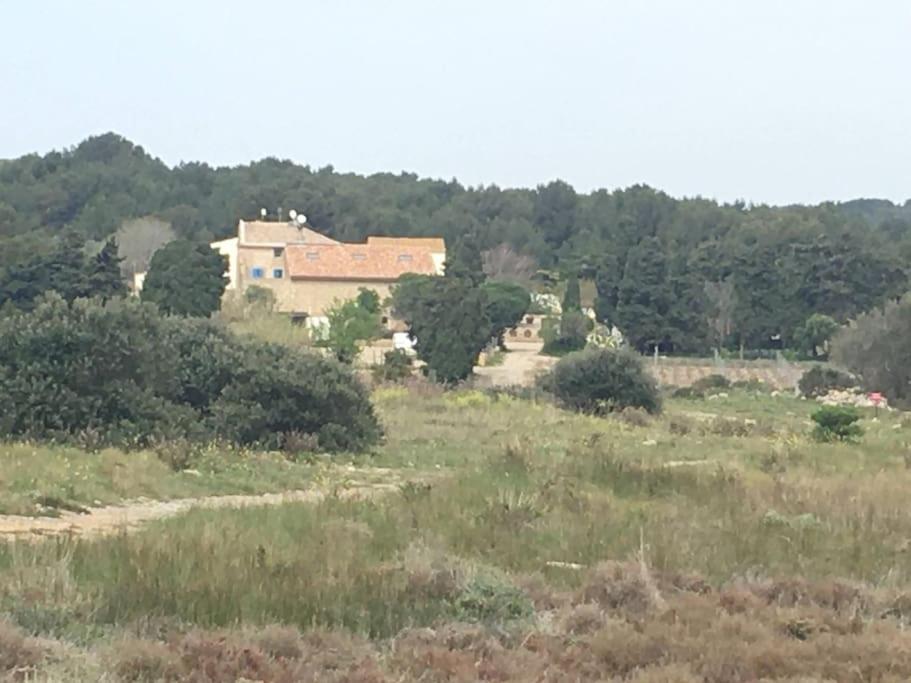 Studio Tout Equipe Pres Des Grands Buffets, Narbonne Kültér fotó